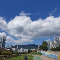 장석인 임대인의 프로필 이미지