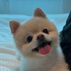 hailey 임대인의 프로필 이미지