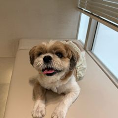 민슬기 임대인의 프로필 이미지
