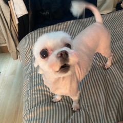 김다빈 Landlord's Profile Image