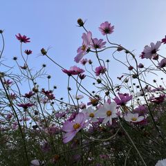 수수 임대인의 프로필 이미지