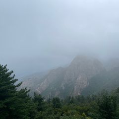 김홍래 임대인의 프로필 이미지