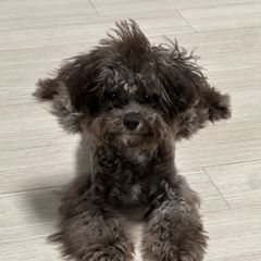 최준희 Landlord's Profile Image