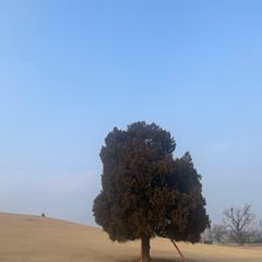 정다운 임대인의 프로필 이미지