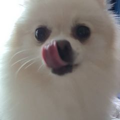 우사기 임대인의 프로필 이미지
