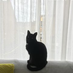 OHSI 임대인의 프로필 이미지