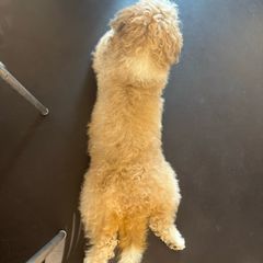 최광진 임대인의 프로필 이미지