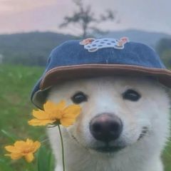 J Landlord's Profile Image