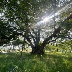 잘란잘란 진주 임대인의 프로필 이미지