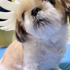 민트하우스 임대인의 프로필 이미지