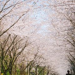 안미영 임대인의 프로필 이미지