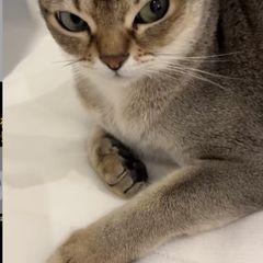 수연 임대인의 프로필 이미지