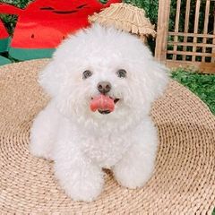 코지하우스 임대인의 프로필 이미지