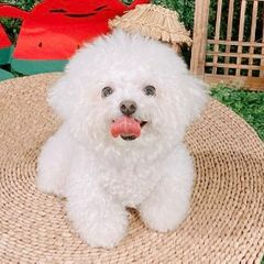 코지하우스 Landlord's Profile Image