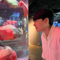 송명규 Landlord's Profile Image