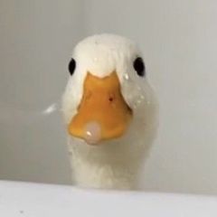 오리 Landlord's Profile Image