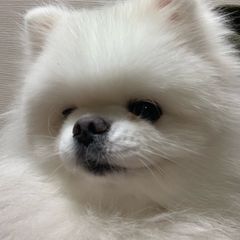 이길한 임대인의 프로필 이미지