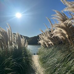 조윤주 임대인의 프로필 이미지