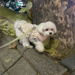 Holy-Da Landlord's Profile Image