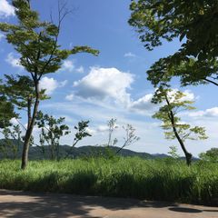 네온하우스 임대인의 프로필 이미지