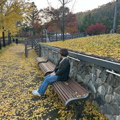 김해숙 Landlord's Profile Image
