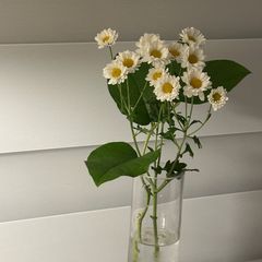 이지금 임대인의 프로필 이미지