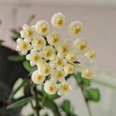 유경옥 임대인의 프로필 이미지