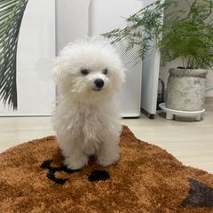 베스트룸 Landlord's Profile Image