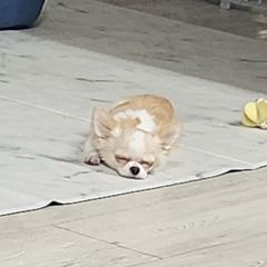 누스테이 임대인의 프로필 이미지