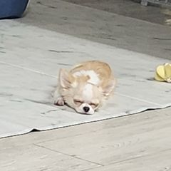 λμ€ν
μ΄ Landlord's Profile Image