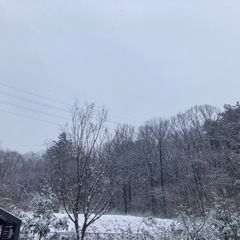 민트초코 임대인의 프로필 이미지