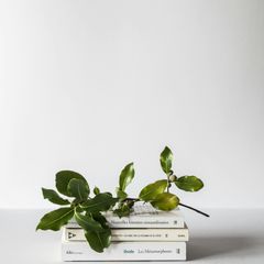김동재 임대인의 프로필 이미지