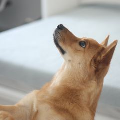 김동일 임대인의 프로필 이미지