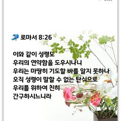 박성자 Landlord's Profile Image