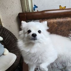 JD Landlord's Profile Image