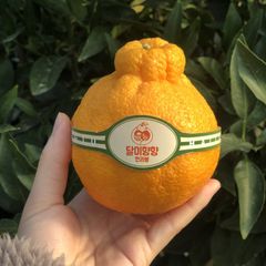 권숙현 임대인의 프로필 이미지