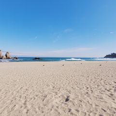 신희정 임대인의 프로필 이미지