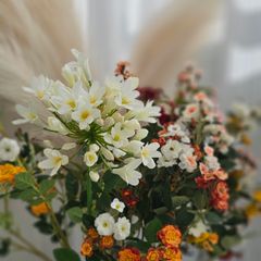 Stay Saint 302 임대인의 프로필 이미지