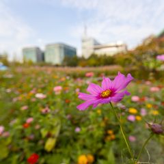 써니 임대인의 프로필 이미지