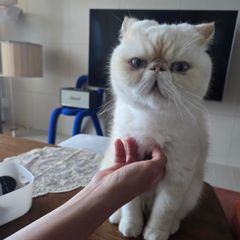 이나리 임대인의 프로필 이미지