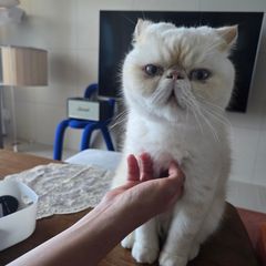 이나리 Landlord's Profile Image
