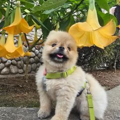 김서진 임대인의 프로필 이미지