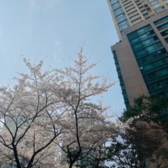 하이앤드 임대인의 프로필 이미지