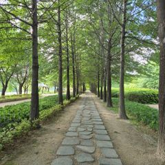 그레이스 박 임대인의 프로필 이미지