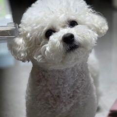 정은정 임대인의 프로필 이미지
