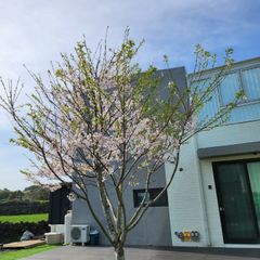 정하늘 임대인의 프로필 이미지
