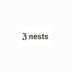 3nests 임대인의 프로필 이미지