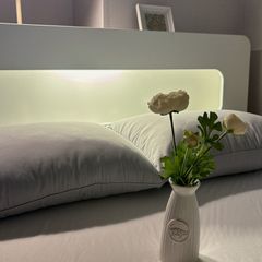 Brian 임대인의 프로필 이미지
