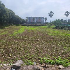 양창석 임대인의 프로필 이미지