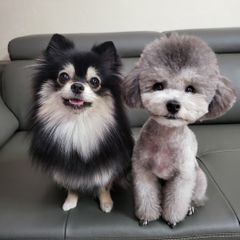 클로이 임대인의 프로필 이미지